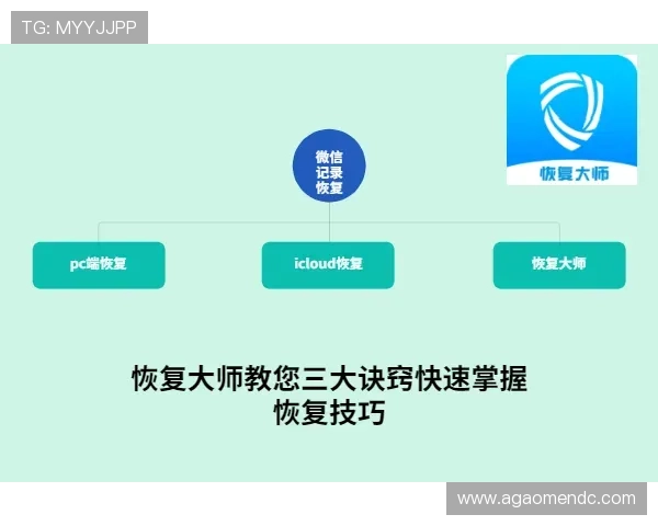 大阳城网站登录入口安全指南，轻松掌握登录步骤与注意事项