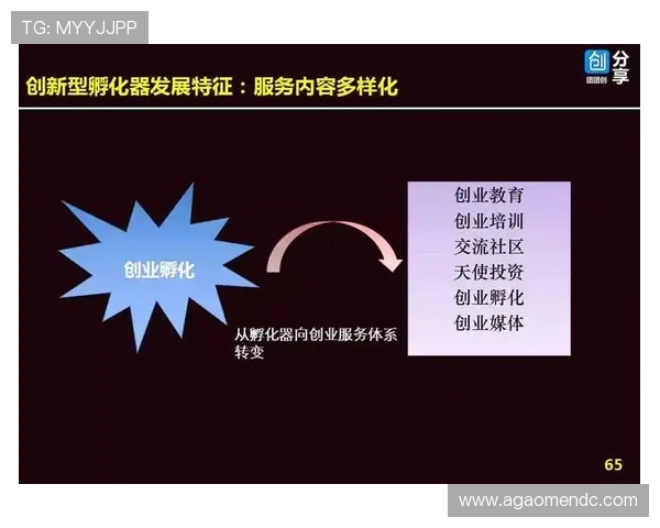 放心使用e星真人app，了解其合法运营与服务保障体系