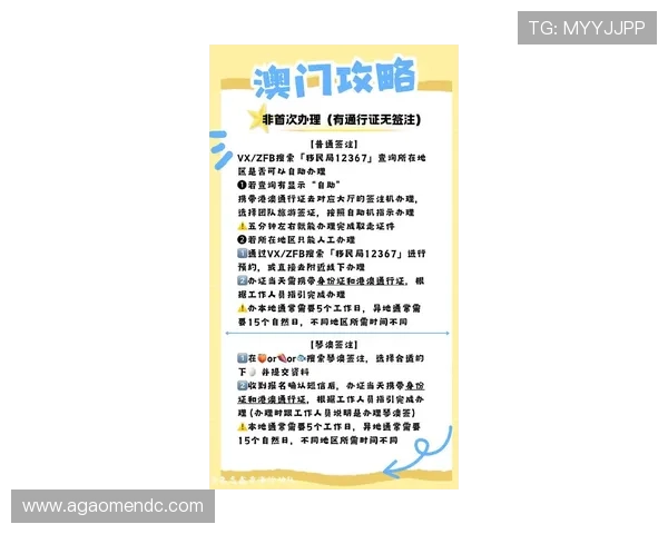 新澳门官网地址如何快速切换，指导用户轻松访问最新官方平台