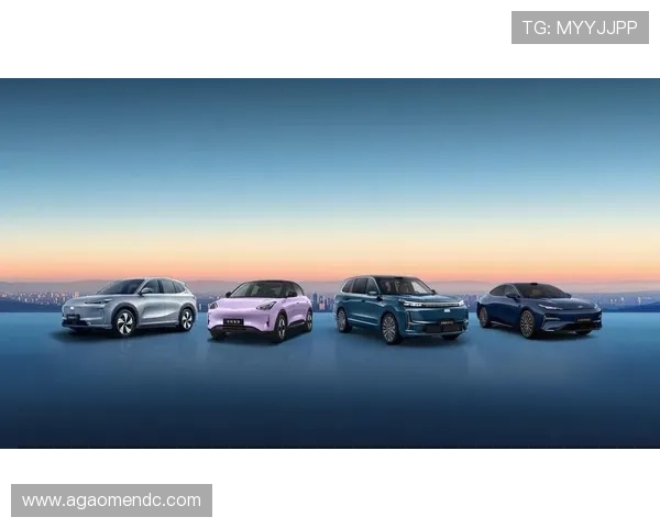 汇彩控股战略布局引领行业新篇章助力企业全球化发展实现多元化经营目标